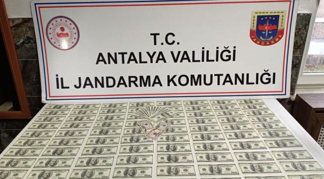 Antalya'da sahte dolar operasyonu