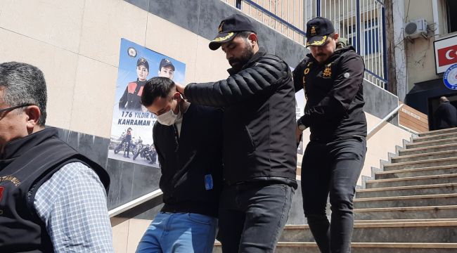 Arnavutköy'de cinayet