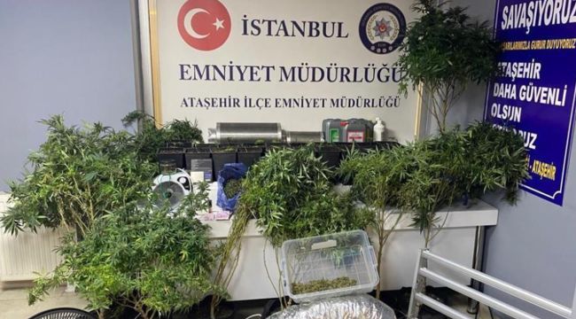 Ataşehir'de lüks rezidansta uyuşturucu serasına baskın