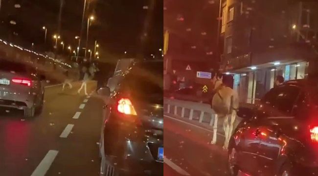 Avcılar'da ‘E-5 kovboyu' trafiği birbirine kattı