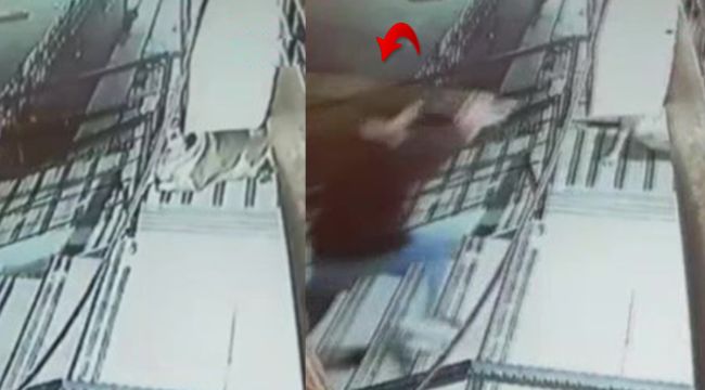 Eli sopalı şahıs sokakta yatan köpeğe saldırdı