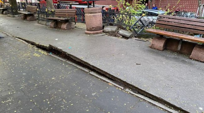 Esenler'de yola devrilen ağaç korku dolu anlar yaşattı