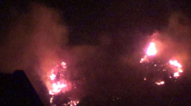 Hatay'da orman yangını sürüyor