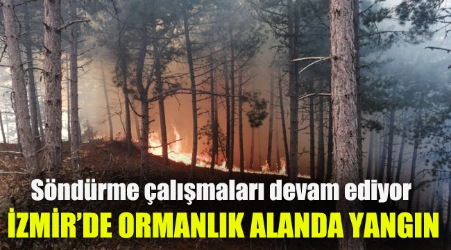 İzmir'de ormanlık alanda yangın