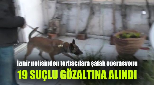 İzmir polisinden torbacılara şafak operasyonu: 19 suçlu gözaltına alındı