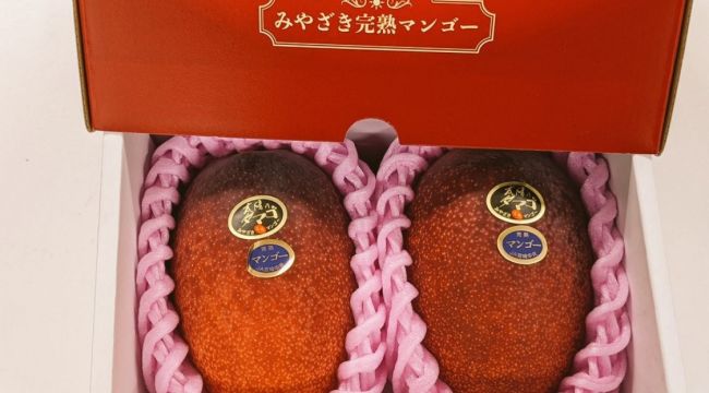 Japonya'da iki mango 58 bin 300 liraya alıcı buldu