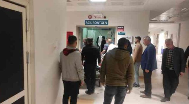 Kayalıktan düşen kadın ağır yaralandı