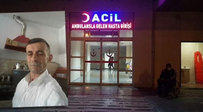 Kestiği ağacın altında hayatını kaybetti