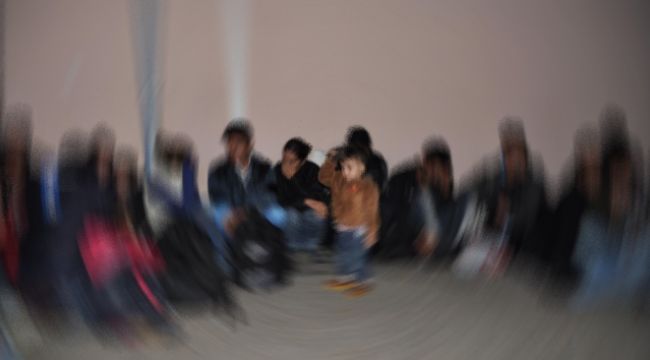 Kırklareli'nde 81 kaçak göçmen yakalandı