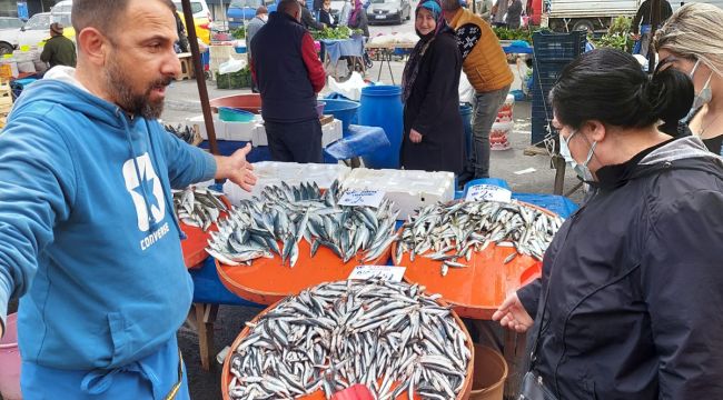 Mayınlara inat hamsi ve istavritin kilosu 25 liraya düştü