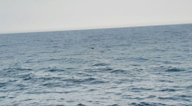 MSB: Kefken açıklarında mayın tespit edildi