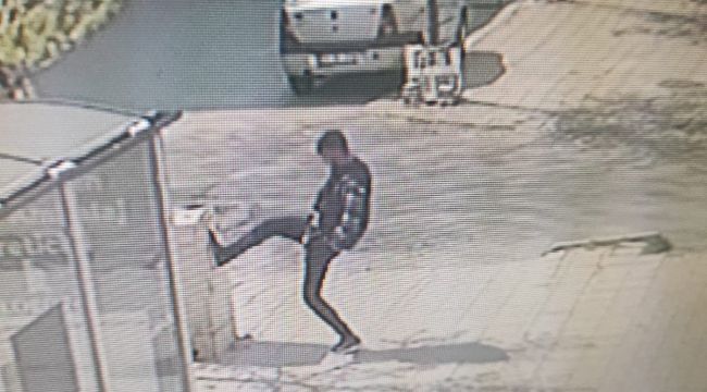 Sokak magandası, elektrik panosunu bir tekmede devirdi