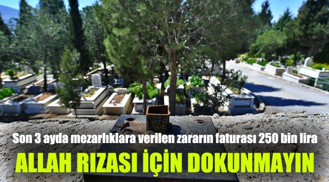 Son 3 ayda mezarlıklara verilen zararın faturası: 250 bin lira