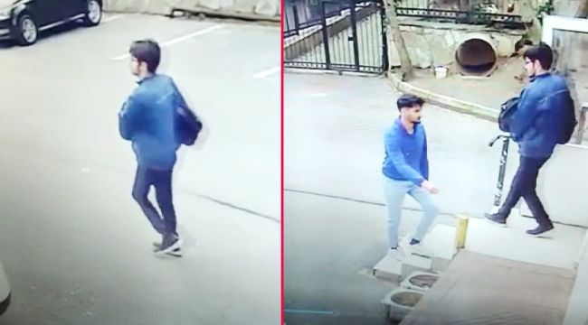 Üniversite öğrencisinden haber alınamıyordu , ormanda ölüsü bulundu