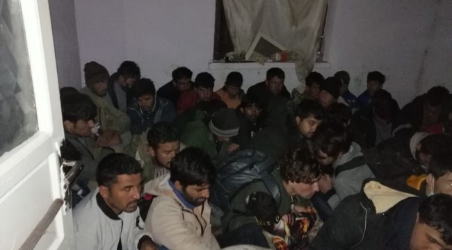 Van'da 50 düzensiz göçmen yakalandı