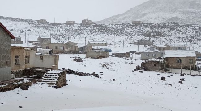 Adilcevaz'da Mayıs ayında kar sürprizi
