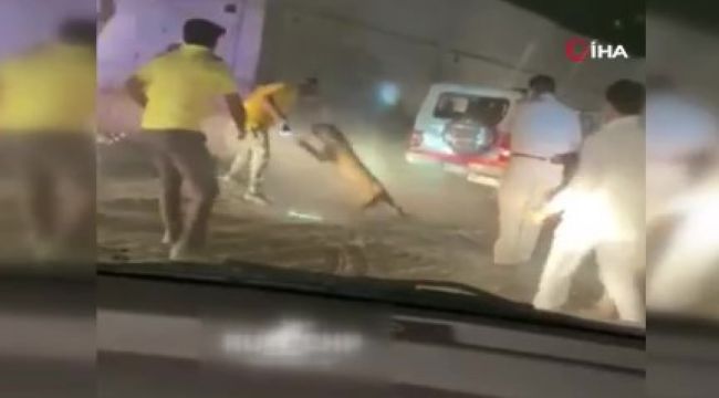Hindistan'da yakalamaya çalıştığı leopar, polise saldırdı