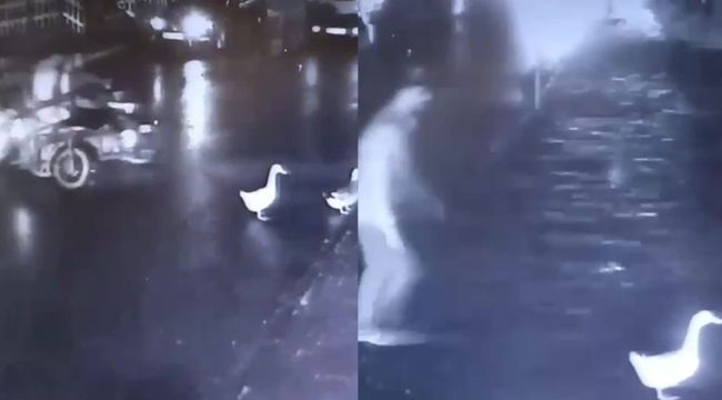 Kartal'da pes dedirten hırsızlık