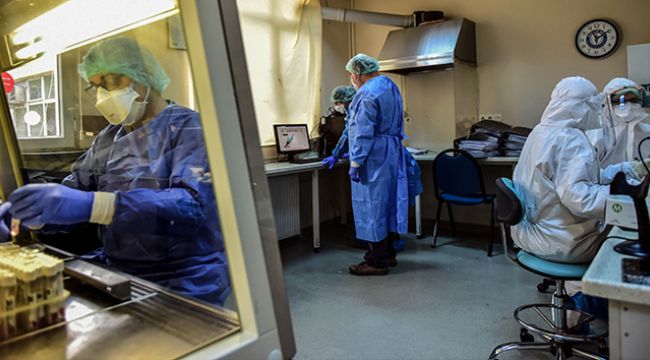 Son 24 saatte korona virüsten 8 kişi hayatını kaybetti