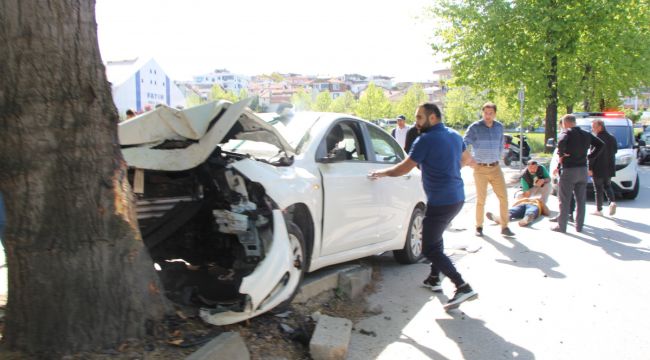 Yalova'da kontrolden çıkan otomobil ağaca çarptı