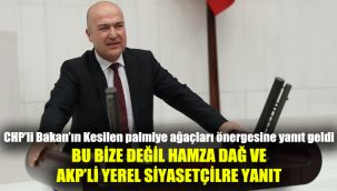 CHP'li Bakan'ın "kesilen palmiye ağaçları" önergesine yanıt geldi: "Bu bize değil, Hamza Dağ ve AKP'li yerel siyasetçilere yanıt"