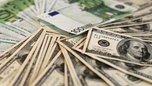 Dolar ve Euro'da son durum