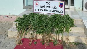İzmir'de 11 ilçede uyuşturucu operasyonu