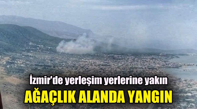 İzmir'de yerleşim yerlerine yakın ağaçlık alanda yangın