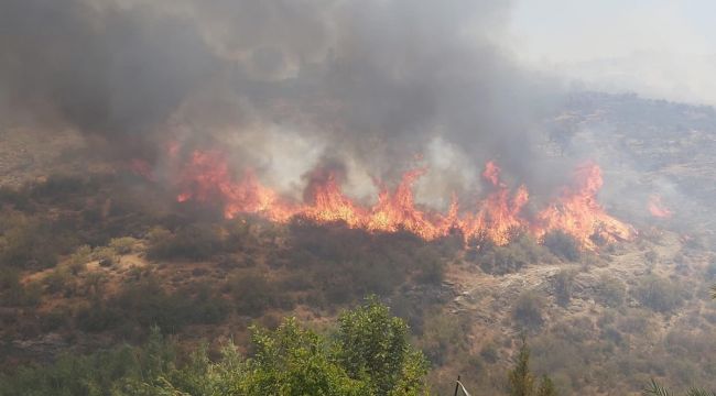 KKTC'deki orman yangınıyla mücadele devam ediyor