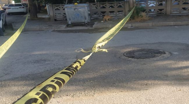 Manisa'da kan donduran olay