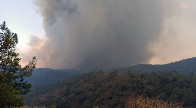 Marmaris'teki orman yangını yönünü Okluk Koyu'na çevirdi