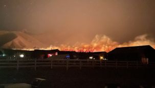 Orman yangınında 2 bin 500 ev tahliye edildi