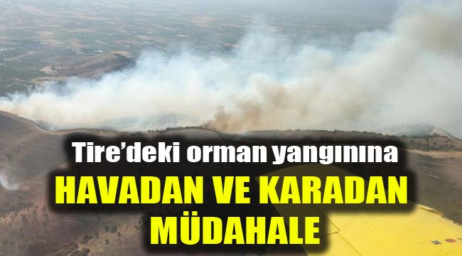 Tire'deki orman yangınına havadan ve karadan müdahale