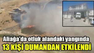 Aliağa'da otluk alandaki yangında 13 kişi dumandan etkilendi