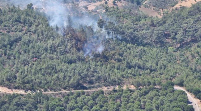 Balıkesir'de korkutan orman yangını