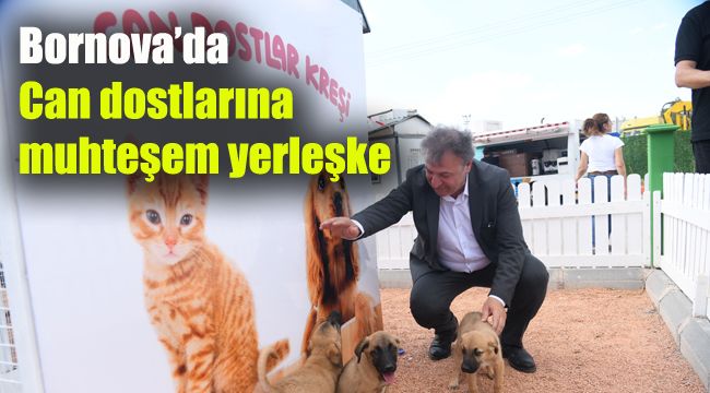 Bornova'da can dostlarına muhteşem yerleşke
