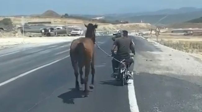 Bursa'da atı motosiklete bağlayarak götürdü