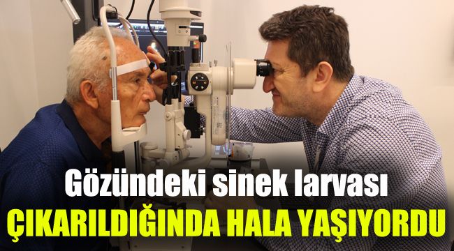 Gözündeki sinek larvası, çıkarıldığında hala yaşıyordu