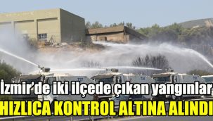 İzmir'de iki ilçede çıkan yangınlar hızlıca kontrol altına alındı