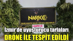 İzmir’de uyuşturucu tarlaları dron ile tespit edildi