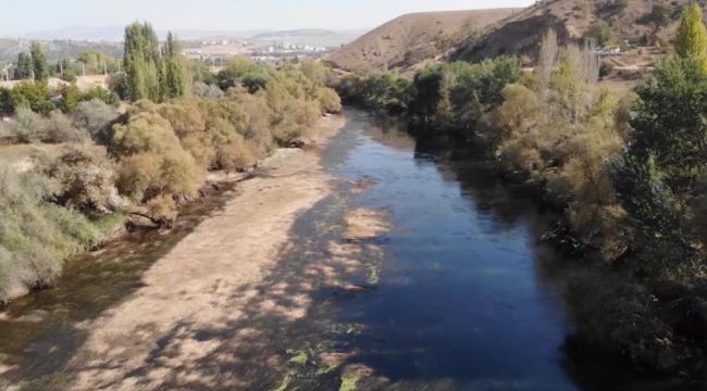 Kızılırmak'tan su içen aynı aileden 14 kişi zehirlendi