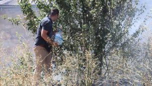 Alevlerin arasında kalan kirpi son anda kurtarıldı