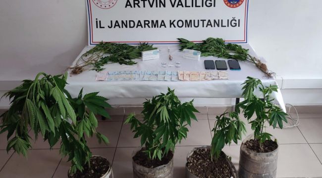 Artvin'de jandarmadan uyuşturucu operasyonu