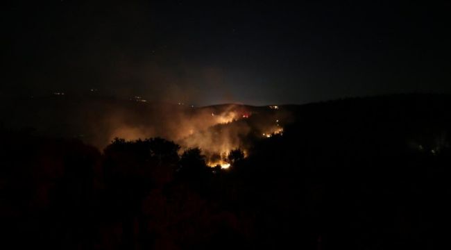 Balıkesir Susurluk yangını kısmen kontrol altında