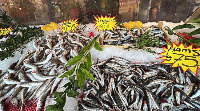 Balıkseverler bu sezon hamsi ve palamuda doyacak
