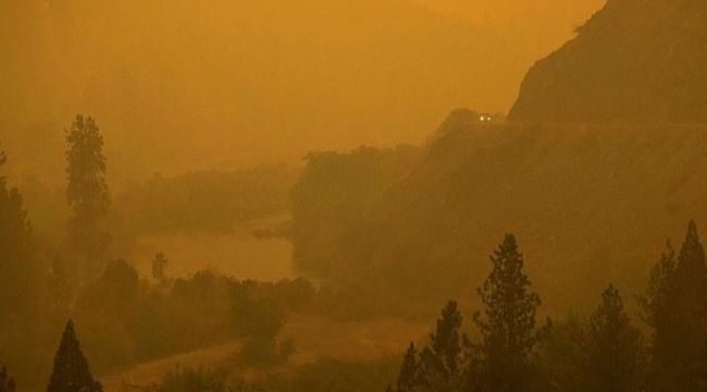 California'daki McKinney yangınında 2 kişi öldü