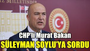 CHP’li Murat Bakan, Süleyman Soylu`ya sordu