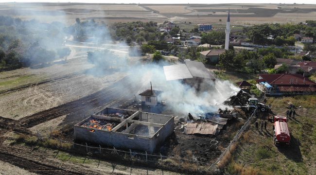Edirne'de çiftlikte yangın: Can pazarı yaşandı, hayvanlar telef oldu