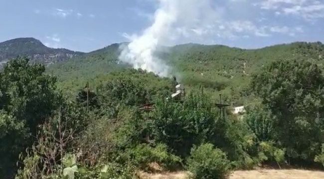 Hatay'da çıkan orman yangını kontrol altına alındı