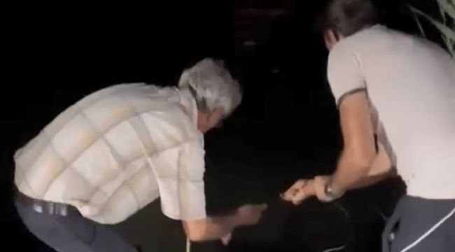 Hem kaçak avlandılar hem de deniz kaplumbağasına zarar verdiler